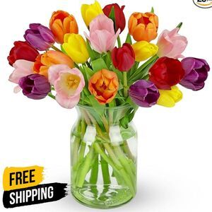 Benchmark Bouquets - 20 fresh Stem Rainbow Tulips with Vase- mom wife gift